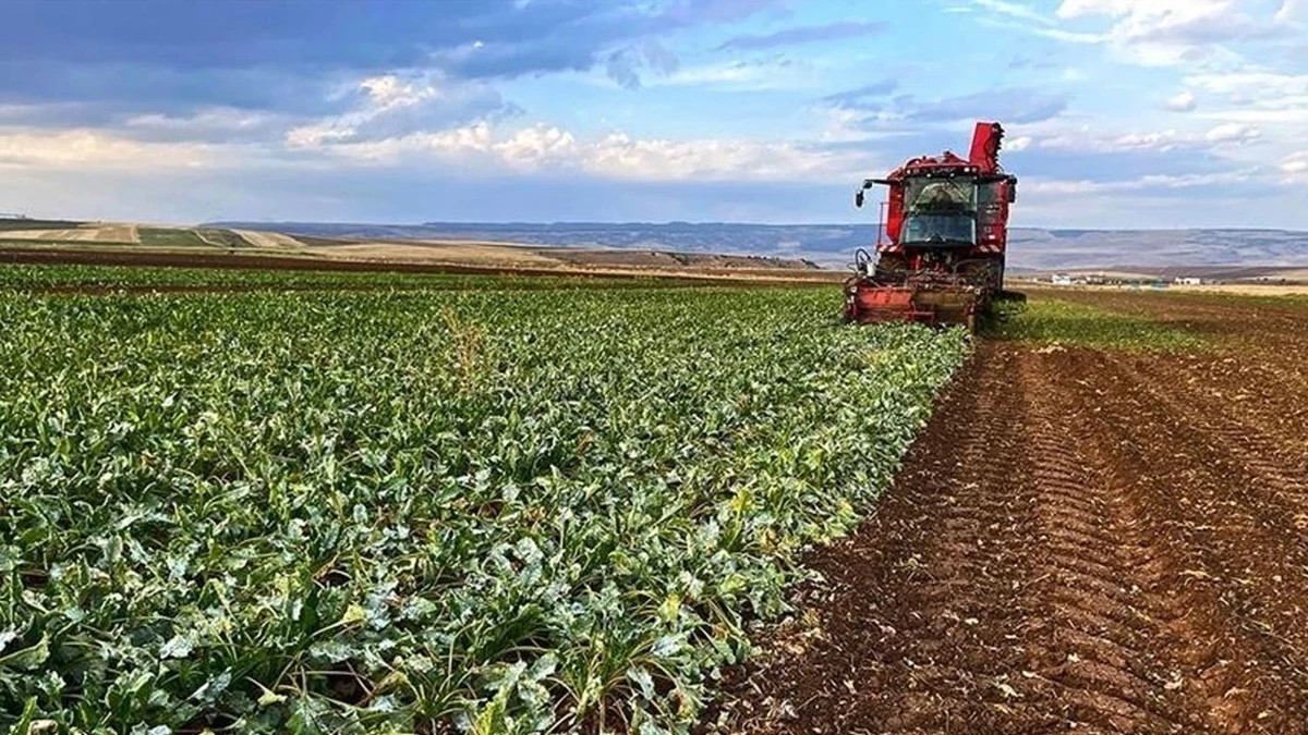 Çiftçinin Derdi Bitmiyor