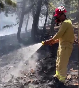Adana'da çıkan orman yangını söndürüldü