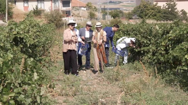 Başkent Üniversitesi'nden Bağ Bozumu Buluşması